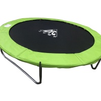 Батут DFC JUMP 10ft c сеткой, apple green (305 см)